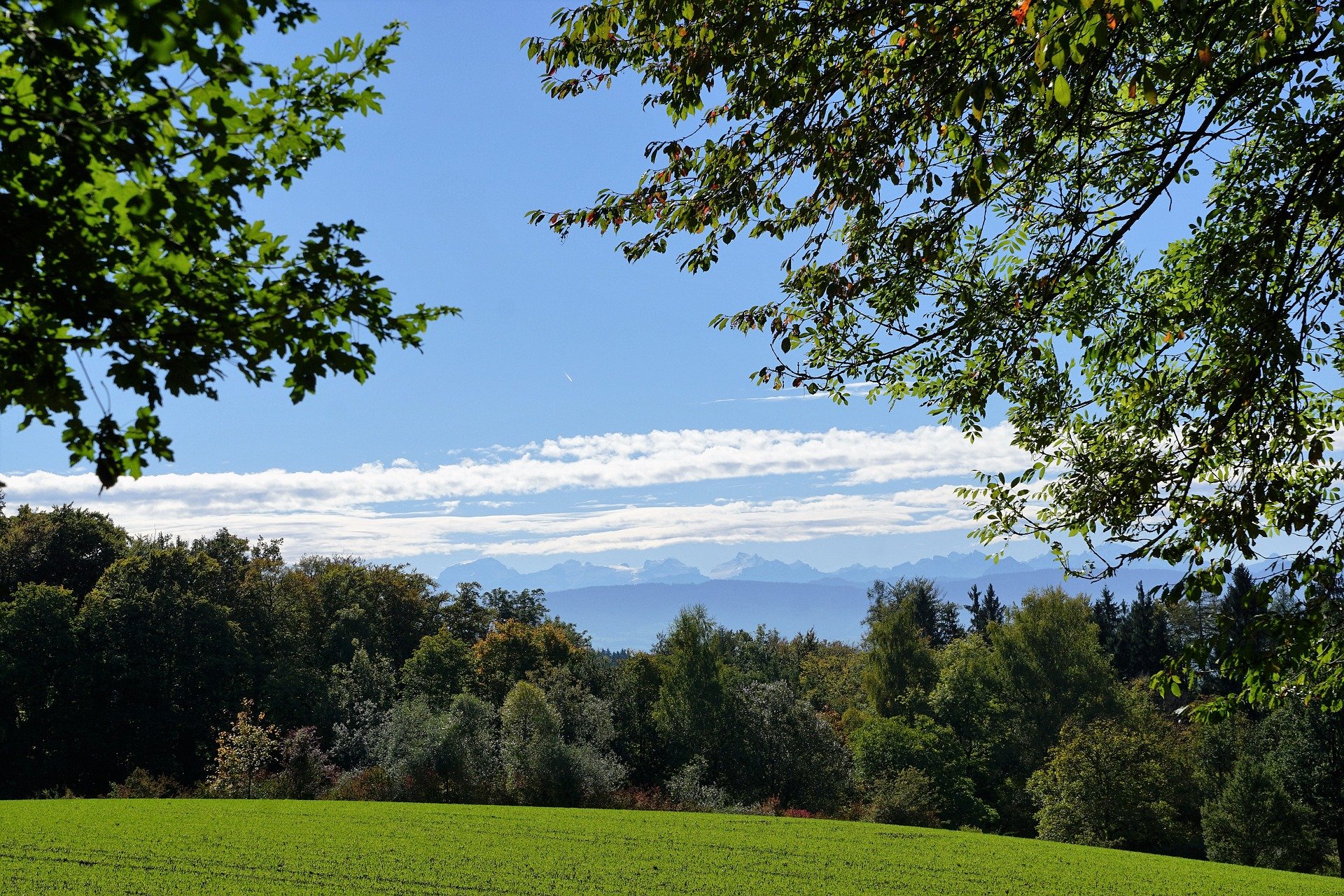 Wald- und Berglandschaft