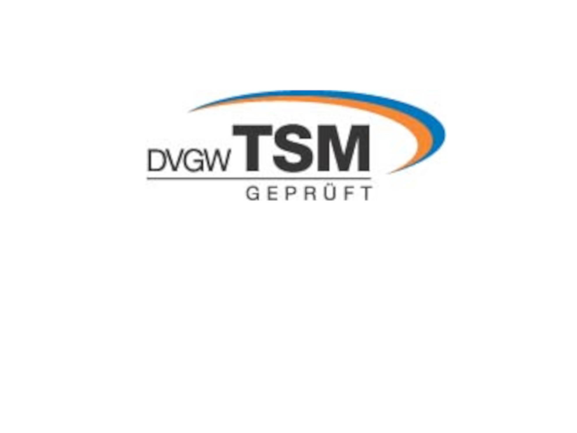 Logo TSM